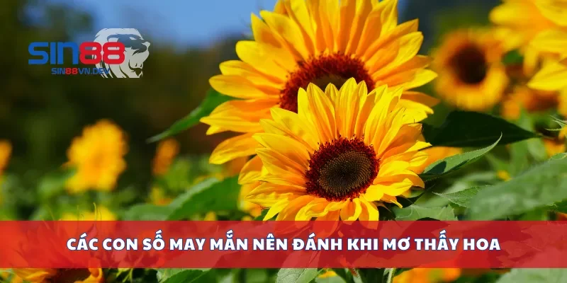 Các con số may mắn nên đánh khi mơ thấy hoa