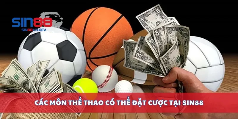 Các môn thể thao có thể đặt cược tại Sin88