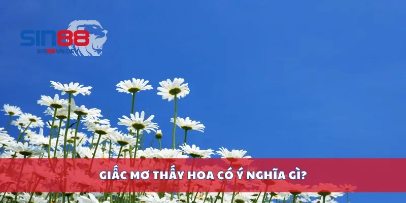 Giấc mơ thấy hoa có ý nghĩa gì?