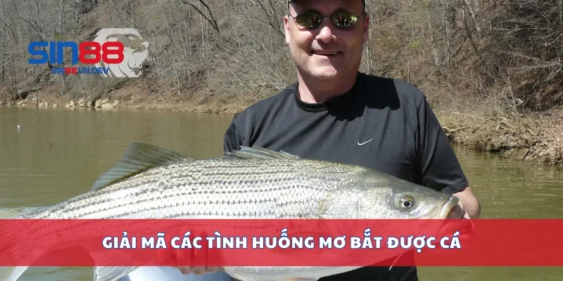 Giải mã các tình huống mơ bắt được cá