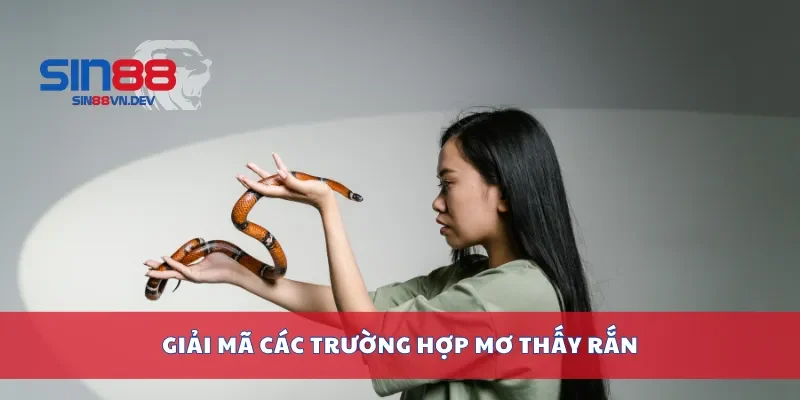 Giải mã các trường hợp mơ thấy rắn