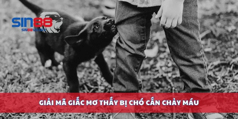 Giải mã giấc mơ thấy bị chó cắn chảy máu
