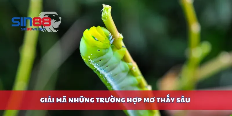 Giải mã những trường hợp mơ thấy sâu