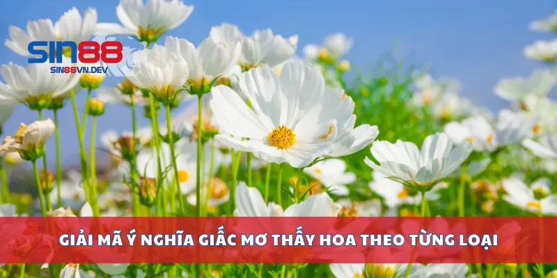 Giải mã ý nghĩa giấc mơ thấy hoa theo từng loại