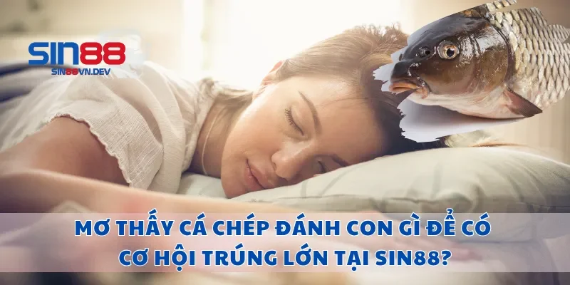 Mơ Thấy Cá Chép Đánh Con Gì Để Có Cơ Hội Trúng Lớn Tại Sin88?