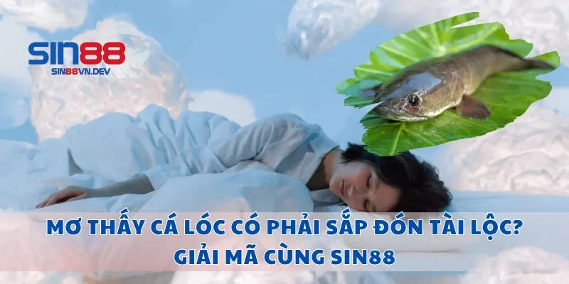 Mơ Thấy Cá Lóc Có Phải Sắp Đón Tài Lộc? Giải Mã Cùng Sin88