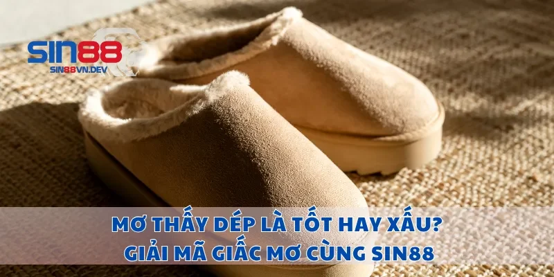 Mơ Thấy Dép Là Tốt Hay Xấu? Giải Mã Giấc Mơ Cùng Sin88
