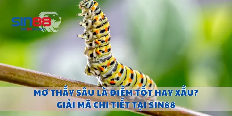 Mơ Thấy Sâu Là Điềm Tốt Hay Xấu? Giải Mã Chi Tiết Tại Sin88