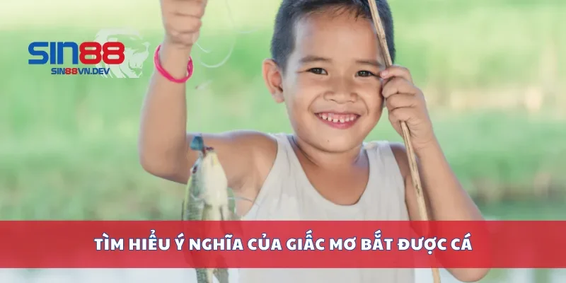 Tìm hiểu ý nghĩa của giấc mơ bắt được cá