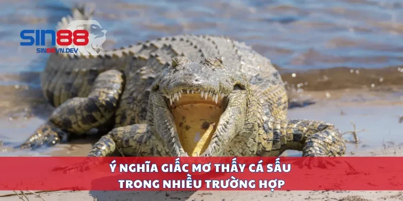 Ý nghĩa giấc mơ thấy cá sấu trong nhiều trường hợp