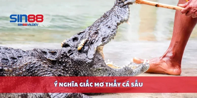 Ý nghĩa giấc mơ thấy cá sấu